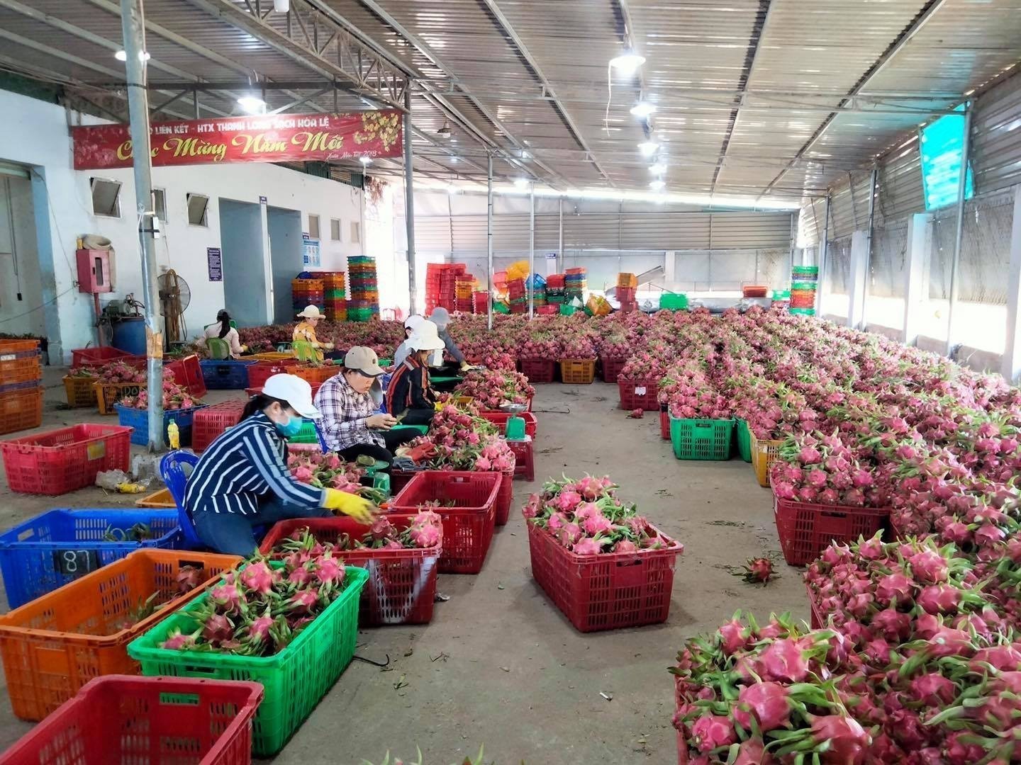 Nông sản Việt đắt khách tại châu Á - Ảnh 1.