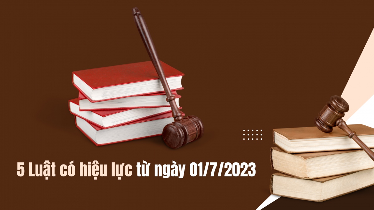 5 Luật có hiệu lực từ 01/7/2023 - Ảnh 1.