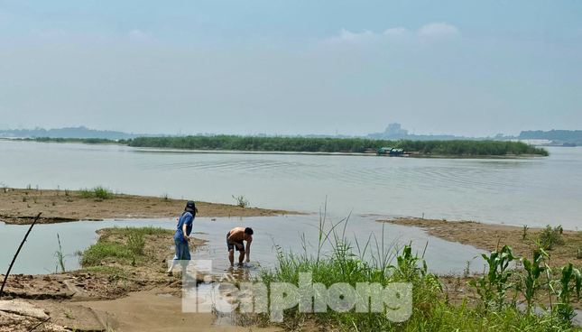 Hà Nội chấp thuận đề án xây dựng công viên văn hoá tại bãi giữa sông Hồng - Ảnh 2.