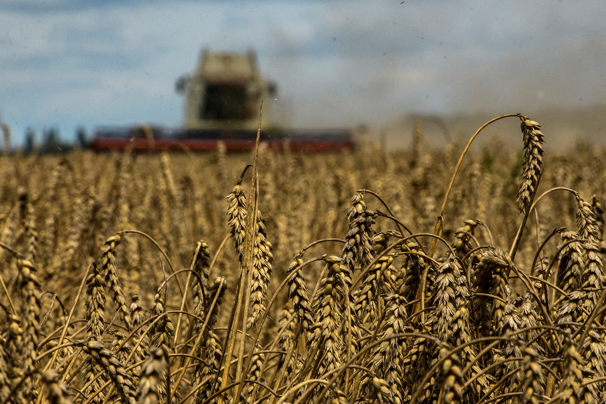 EU gia hạn lệnh cấm ngũ cốc Ukraine tại 5 nước thành viên - Ảnh 1.