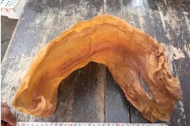 Việt Nam sở hữu loại cá đặc sản nổi tiếng vướng đỏ chót hàng đầu, vô bụng có một loại quý như vàng - Hình ảnh 2.