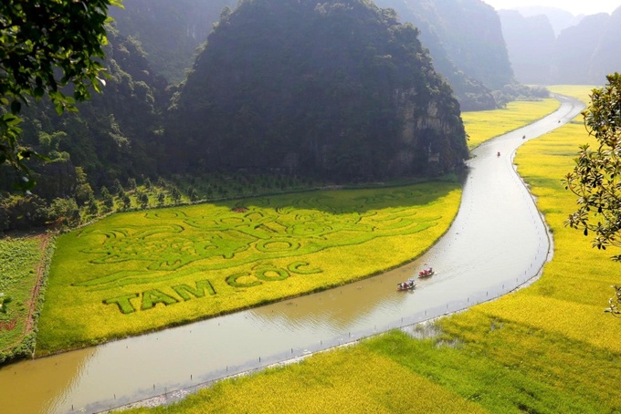 DN đằng sau bức tranh &quot;Lý ngư vọng nguyệt'' trên cánh đồng lúa 10.000 m2 đẹp nhất Việt Nam: Đại gia của những siêu dự án tâm linh tỷ đô - Ảnh 2.