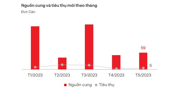 Đón tin vui condotel, biệt thự du lịch... được cấp sổ đỏ nhưng vì sao bất động sản nghỉ dưỡng vẫn ảm đạm - Ảnh 1.