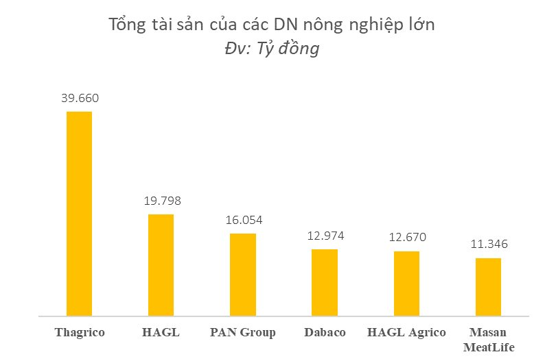 Thaco Agri lỗ gần 900 tỷ đồng năm 2022, tài sản 40.000 tỷ, lớn hơn cả Hoàng Anh Gia Lai và PAN Group cộng lại - Ảnh 1.