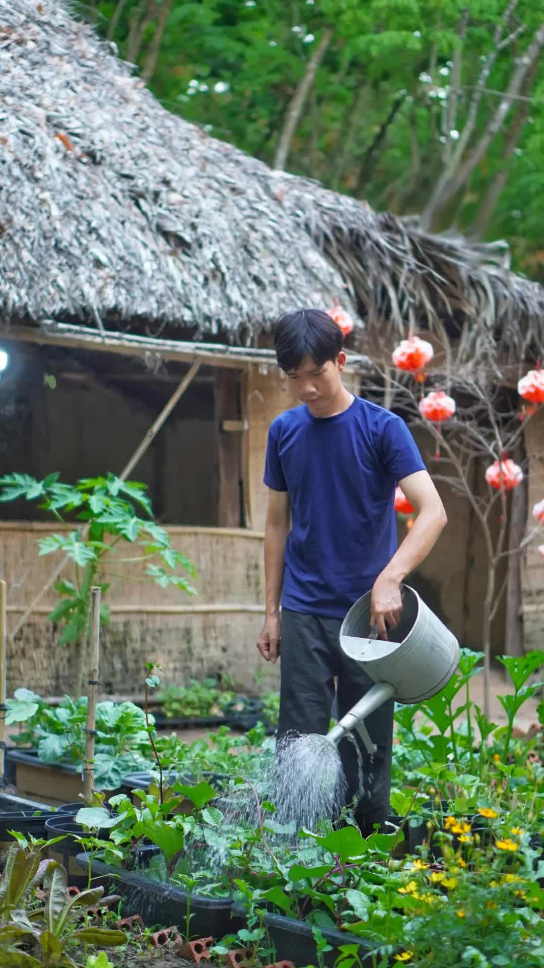 Chàng trai &quot;bỏ phố vào rừng&quot;, trồng vườn cây đủ màu sắc thu trái trĩu tay - Ảnh 2.