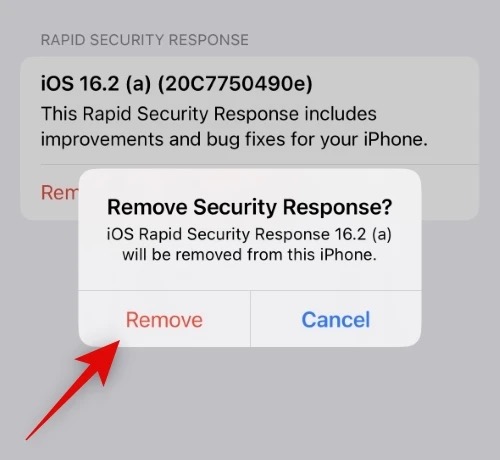 Apple xác nhận bản cập nhật iOS khiến iPhone không thể truy cập Facebook, Instagram, Zoom: Đây là cách để gỡ bỏ - Ảnh 3.