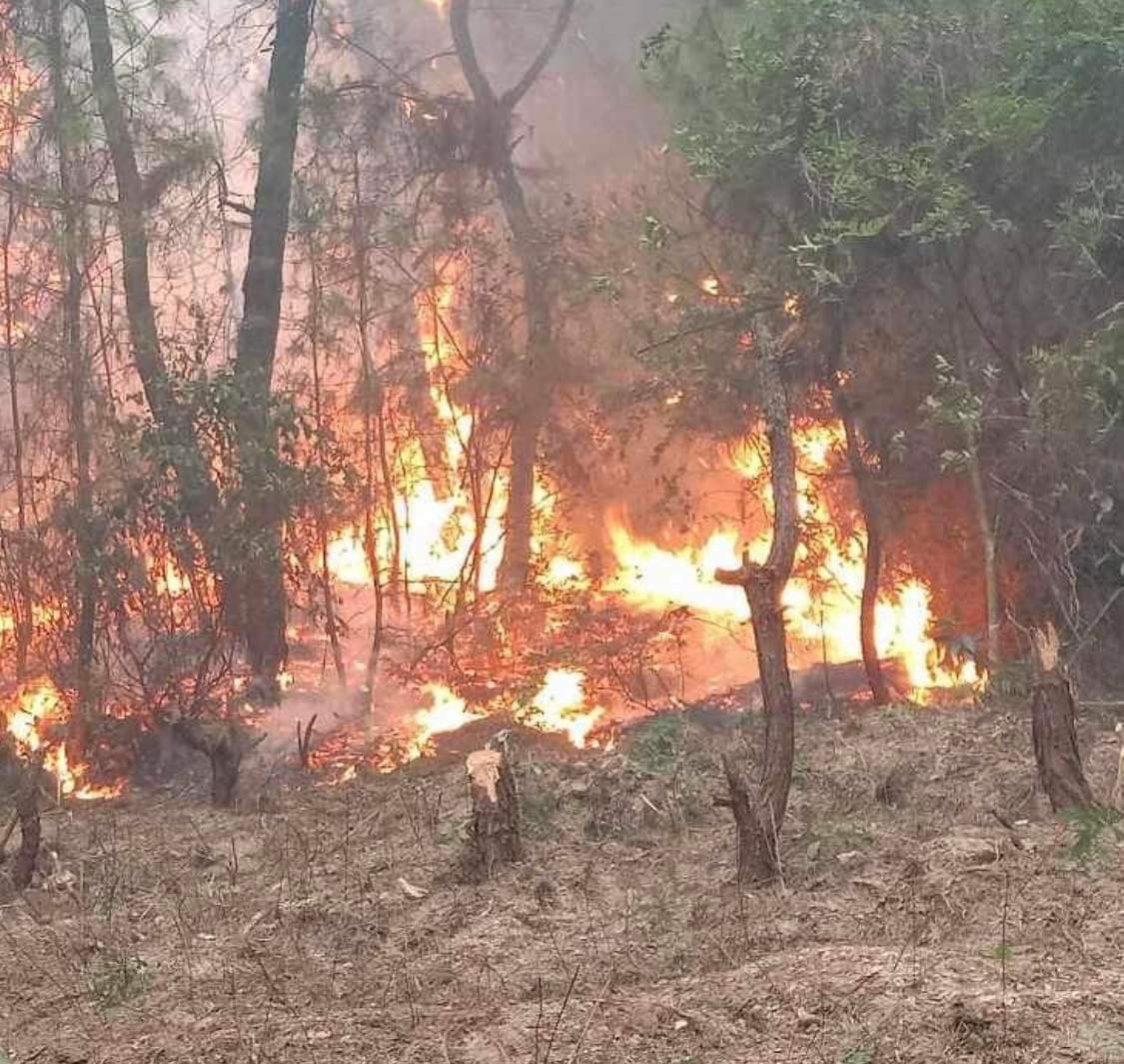 Cận cảnh hàng ngàn lượt người vật lộn với đám cháy rừng thông suốt 16 giờ - Ảnh 3.