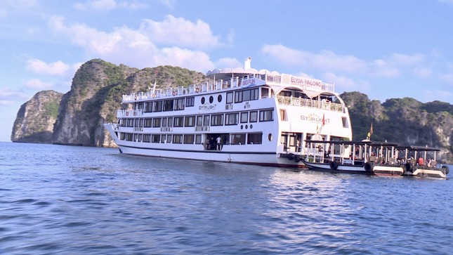 Phát hiện tàu du lịch 5 sao cho khách 'tắm chui' trên vịnh Hạ Long - Ảnh 2.
