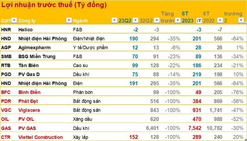 Một loạt DN công bố KQKD quý 2/2023, CTCK dự báo mức thay đổi &quot;sốc&quot; tại Gemadept, Hoà Phát, Đạm Phú Mỹ, Đạm Cà Mau... - Ảnh 1.