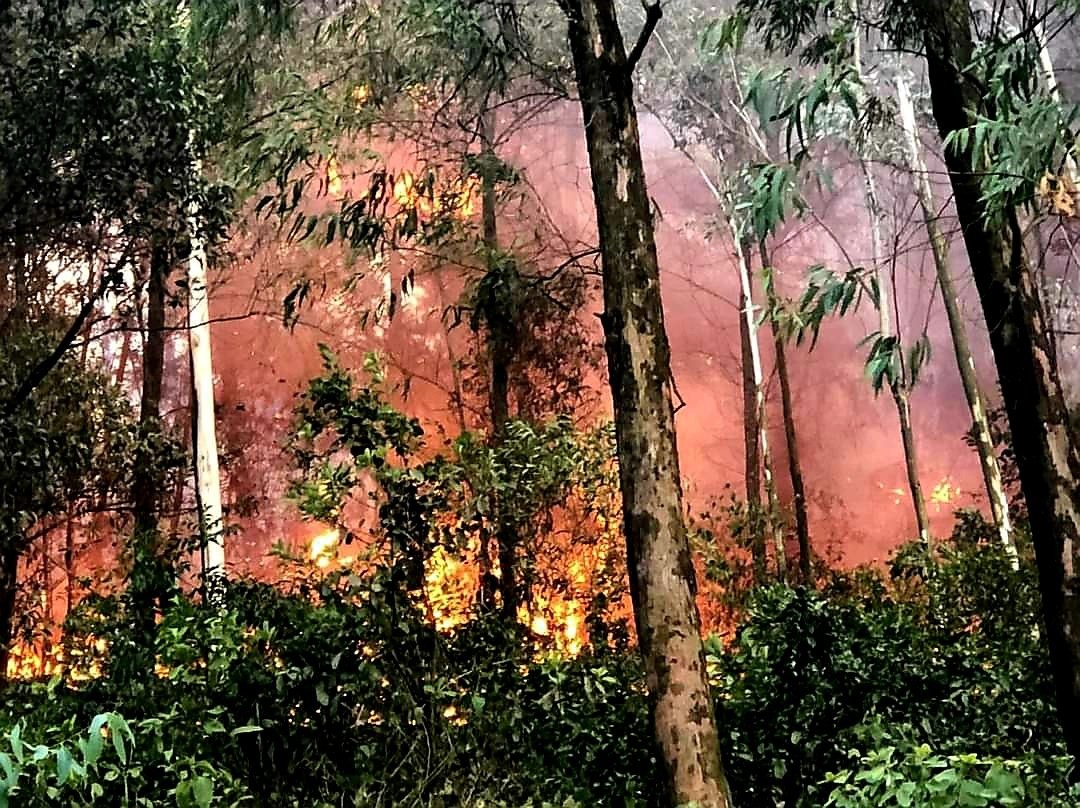 Cận cảnh hàng ngàn lượt người vật lộn với đám cháy rừng thông suốt 16 giờ - Ảnh 7.