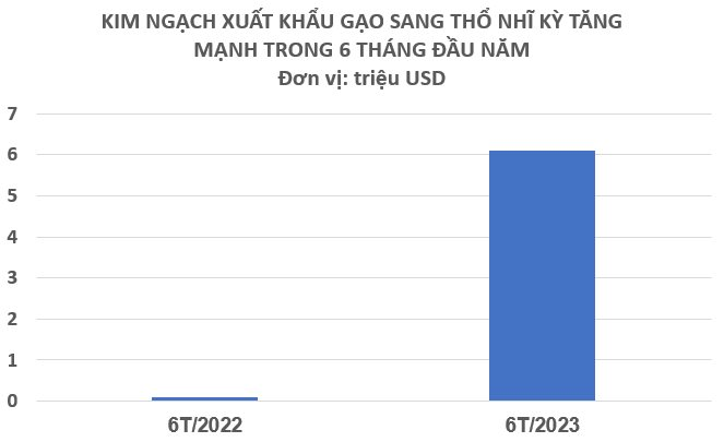 Xuất khẩu “hạt ngọc trời” liên tục lập đỉnh, lộ diện quốc gia châu Âu tăng nhập khẩu gạo Việt mạnh nhất trong nửa đầu năm, xuất khẩu tăng hơn 6.000% - Ảnh 2.