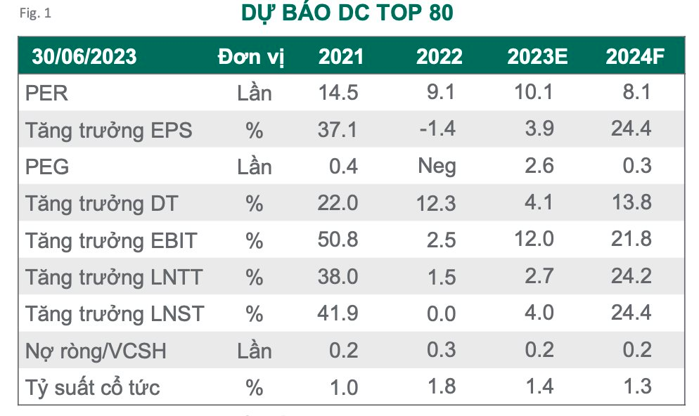 Dragon Capital chỉ tên một nhóm cổ phiếu sẽ &quot;dẫn sóng&quot; thị trường nửa cuối năm 2023 - Ảnh 3.