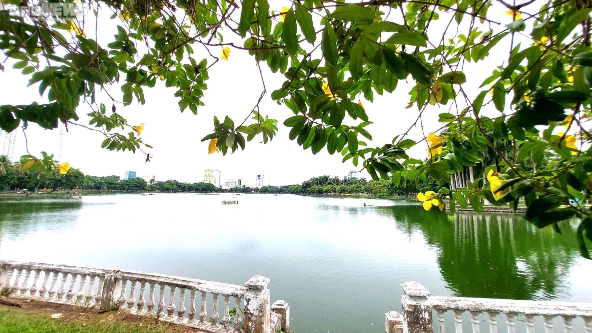 Công viên lớn nhất thành phố xuống cấp, Đà Nẵng tính chi hơn 670 tỷ đồng cải tạo - Ảnh 10.
