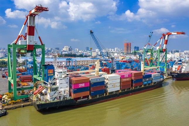 Chi phí vận chuyển container Bắc - Nam đắt gấp đôi đi Mỹ - Ảnh 1.