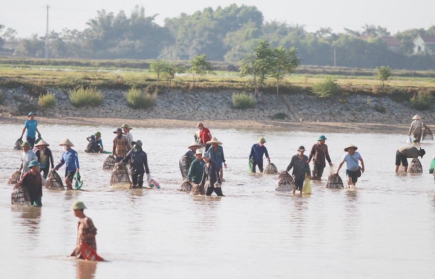 Hơn 100 người mua vé xuống hồ ‘săn cá’ giữa ngày hè nóng bức - Ảnh 1.