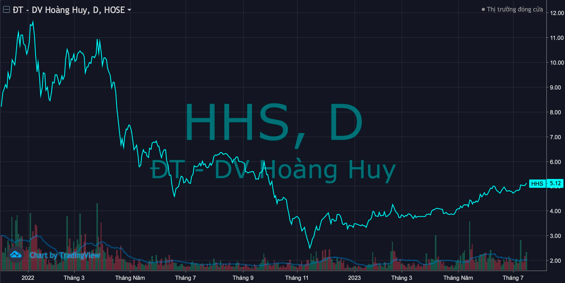 Rót tiền tỷ vào cổ phiếu HHS ngay gần đỉnh, một doanh nghiệp sách vẫn chưa “về bờ” - Ảnh 1.