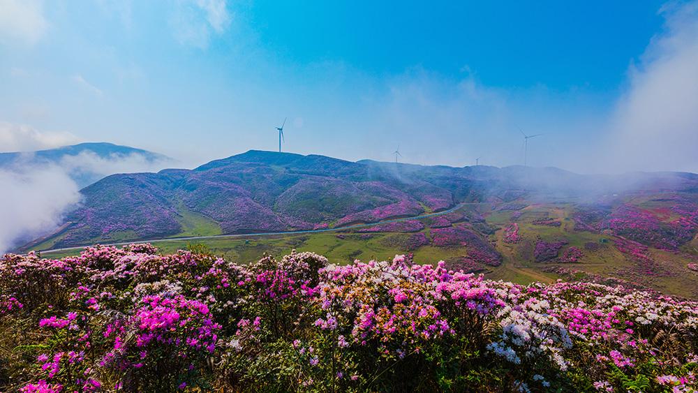 &quot;Thành phố không dùng điều hòa&quot; ở Trung Quốc: Người dân không biết nắng nóng là gì, mùa hè ngủ còn phải đắp chăn - Ảnh 9.