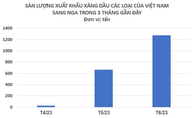 Xuất khẩu một mặt hàng sang Nga tăng hơn 1.700% trong tháng 6, chính là loại &quot;vàng đen&quot; Nga nắm giữ sản lượng top 3 thế giới - Ảnh 2.