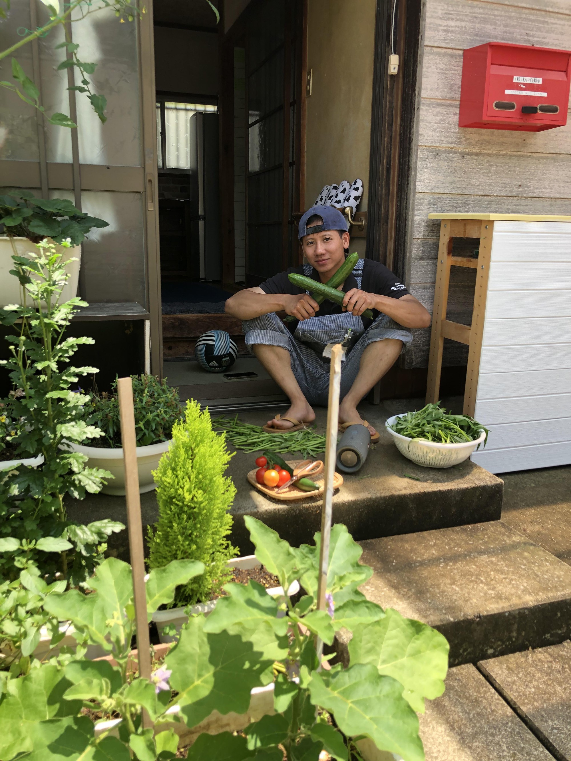 Thanh niên 24 tuổi làm mảnh vườn nhỏ xinh ở Nhật Bản, vẫn phải mua rau bên ngoài nhưng được bình yên - Ảnh 1.