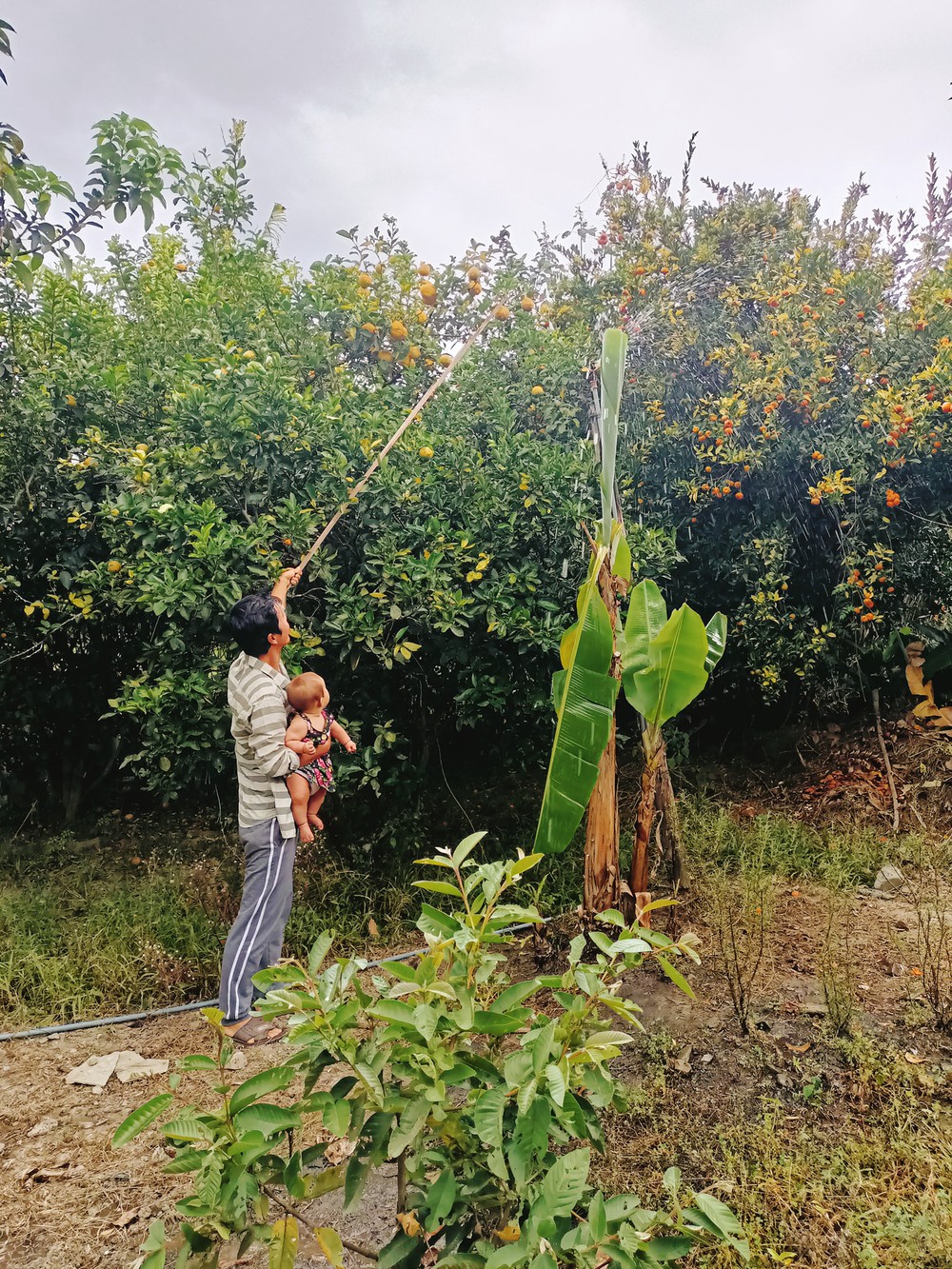 Phải lòng trai Nghệ An, nàng Mỹ rủ anh vào rừng “săn bắt hái lượm”, sống giữa thung lũng Ecuador - Ảnh 3.