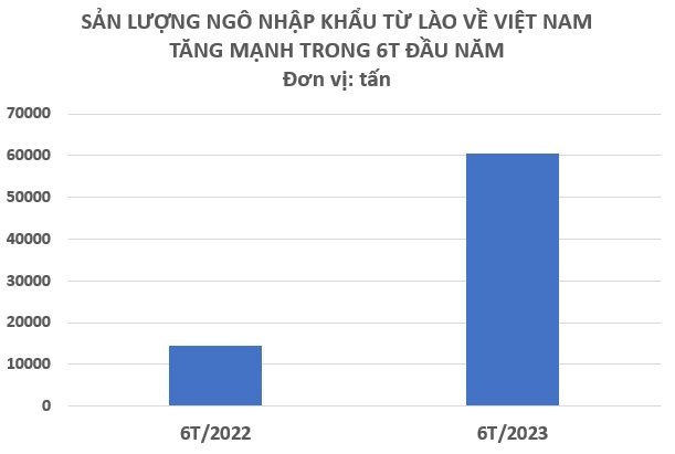 Một loại hạt của Lào đang được Việt Nam mạnh tay thu mua: Nhập khẩu tăng gần 400% trong nửa đầu năm, là mặt hàng nước ta nhập khẩu top đầu thế giới - Ảnh 2.