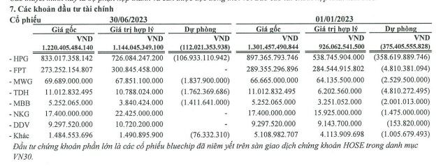 Chi 900 tỷ mua cổ phiếu HPG và có lúc mất tới 40%, 1 công ty đầu tư tài chính lớn đã gần “về bờ”, đang lãi to với FPT - Ảnh 2.