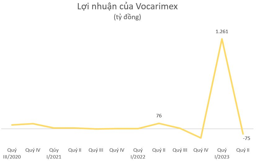 Sau quý lãi kỷ lục hơn 1.200 tỷ đồng, Vocarimex báo lỗ trong quý 2/2023 - Ảnh 1.
