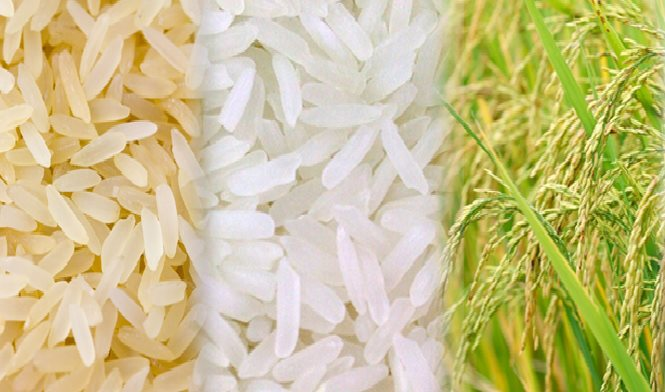 Tại sao lệnh cấm xuất khẩu gạo của Ấn Độ lại nghiêm trọng đối với thương mại toàn cầu? - Ảnh 1.