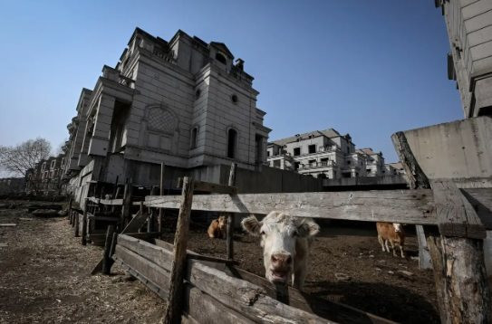 Thảm họa khủng hoảng BĐS Trung Quốc: Dự án có hàng trăm biệt thự giá triệu USD thành thị trấn ma, bị nông dân ‘xâm chiếm’ nuôi bò, trồng trọt - Ảnh 1.