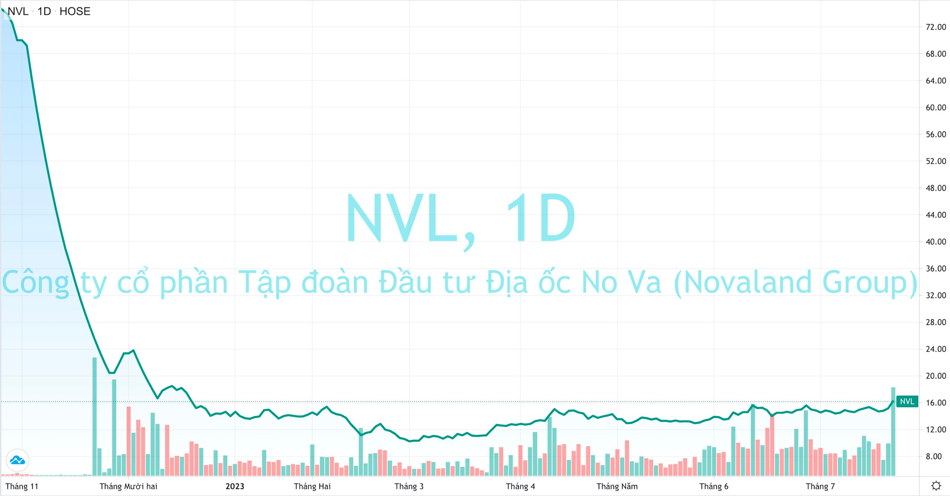 Novaland shares reached a 7-month high, almost 5% of the companies changed hands - Photo 1.