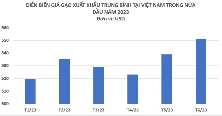 Vì sao lệnh cấm xuất khẩu gạo của Ấn Độ có thể làm chao đảo an ninh lương thực toàn cầu? - Ảnh 2.