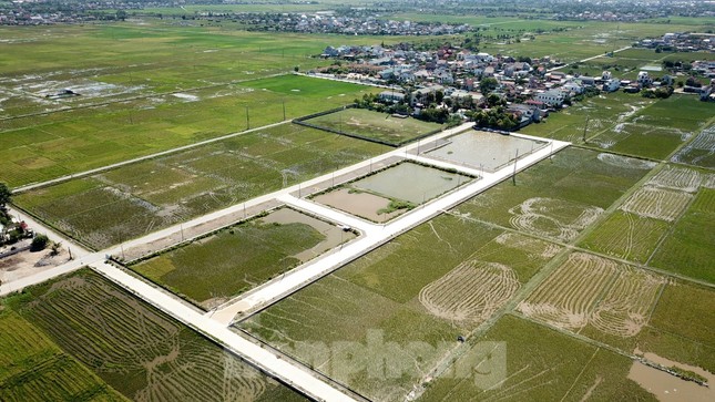Nghệ An: Huyện đề nghị tỉnh thanh tra toàn diện vụ kế toán xã đấu giá trúng 23 lô đất - Ảnh 1.