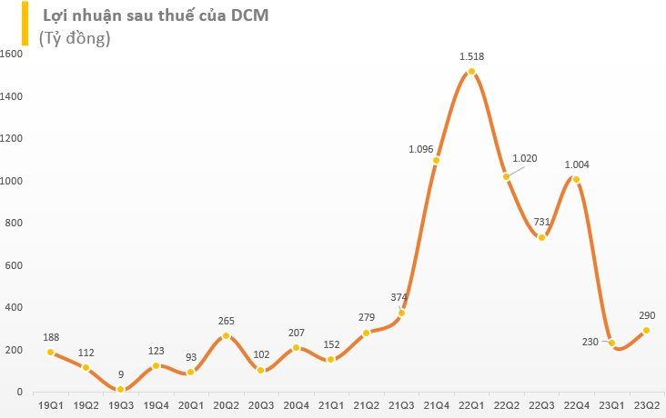 Đạm Cà Mau (DCM) báo lãi giảm 80% sau nửa đầu năm, nắm giữ hơn 10.500 tỷ đồng tiền và tiền gửi - Ảnh 2.