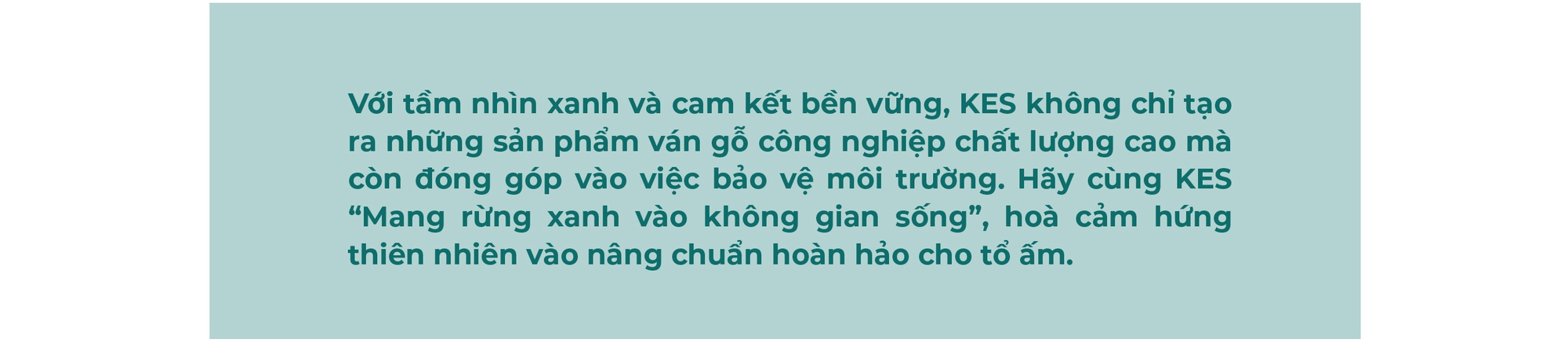 KES và tầm nhìn xanh: Mang thiên nhiên vào không gian sống qua từng mét gỗ công nghiệp - Ảnh 10.