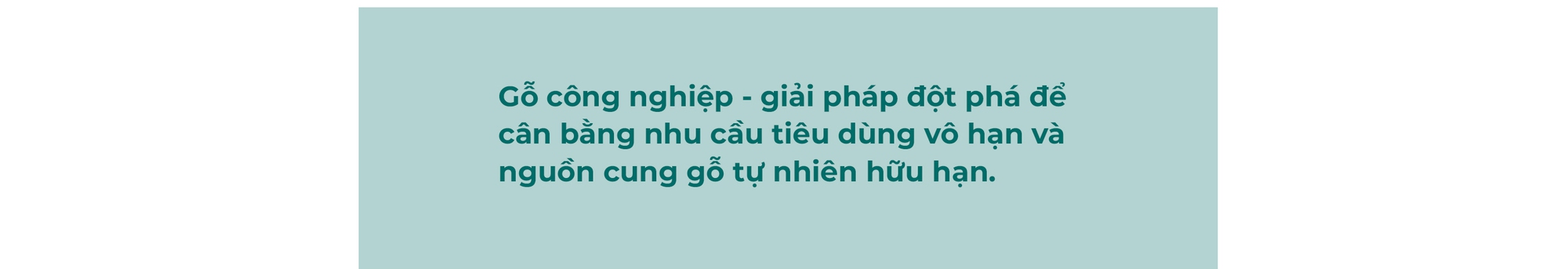 KES và tầm nhìn xanh: Mang thiên nhiên vào không gian sống qua từng mét gỗ công nghiệp - Ảnh 3.