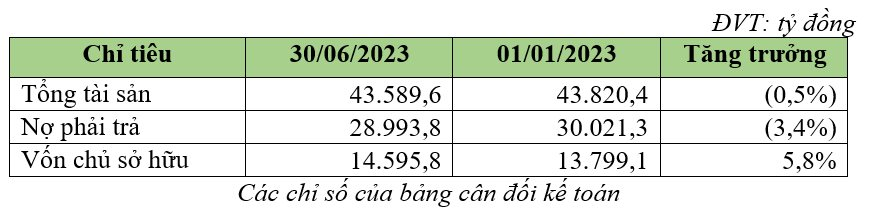 Bamboo Capital (BCG) báo lãi 161 tỷ trong quý 2/2023, nợ phải trả giảm hơn 1.027 tỷ đồng - Ảnh 2.