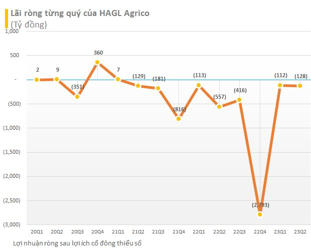 Đằng sau cú giảm lỗ cực mạnh của HAGL Agrico (HNG) trong quý 2/2023 - Ảnh 2.