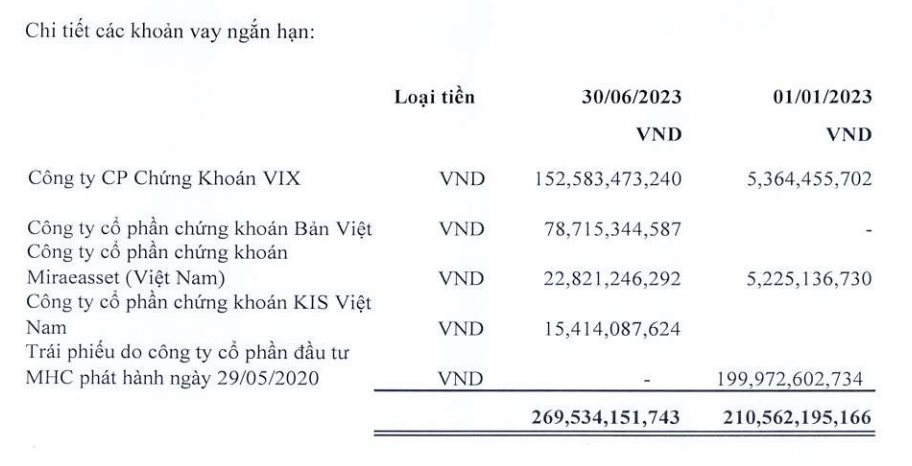 Dành gần 1 nửa tổng tài sản để đầu tư chứng khoán, một DN chi hơn 300 tỷ nắm 15 triệu cổ phiếu Eximbank, vay CTCK 270 tỷ đồng - Ảnh 3.