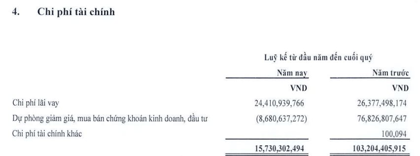 Dành gần 1 nửa tổng tài sản để đầu tư chứng khoán, một DN chi hơn 300 tỷ nắm 15 triệu cổ phiếu Eximbank, vay CTCK 270 tỷ đồng - Ảnh 5.