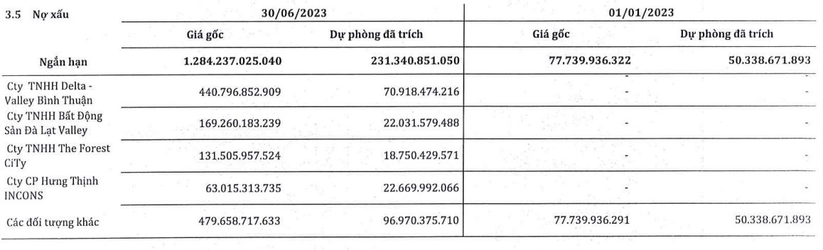 Một DN buôn thép lớn báo lỗ hơn 400 tỷ trong quý 2, dự phòng hơn 100 tỷ cho khoản phải thu với các công ty con của Novaland - Ảnh 2.