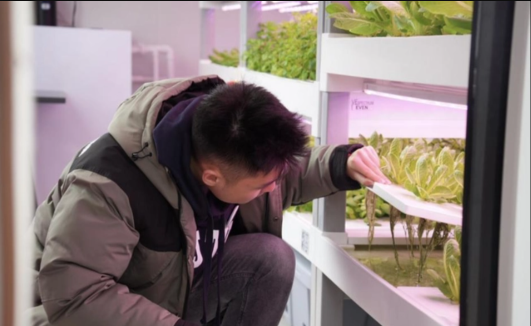 Xu hướng làm nông ‘hi-tech’ của giới trẻ Trung Quốc: Không cần đất hay nắng mưa, chỉ cần thuật toán và AI là cho cây trĩu quả - Ảnh 6.