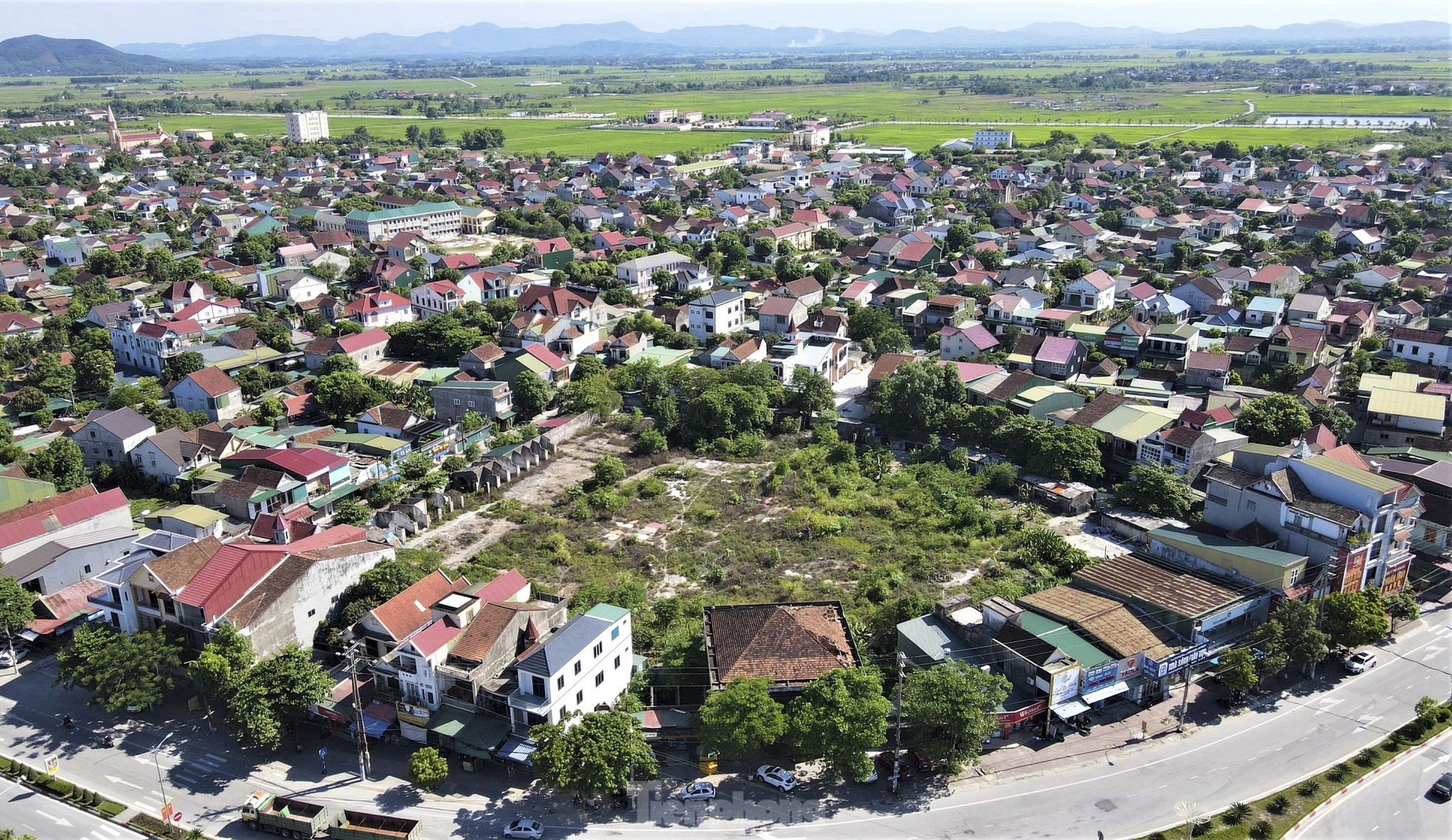 'Đất vàng' giữa trung tâm thành nơi... chăn bò, đổ rác - Ảnh 2.