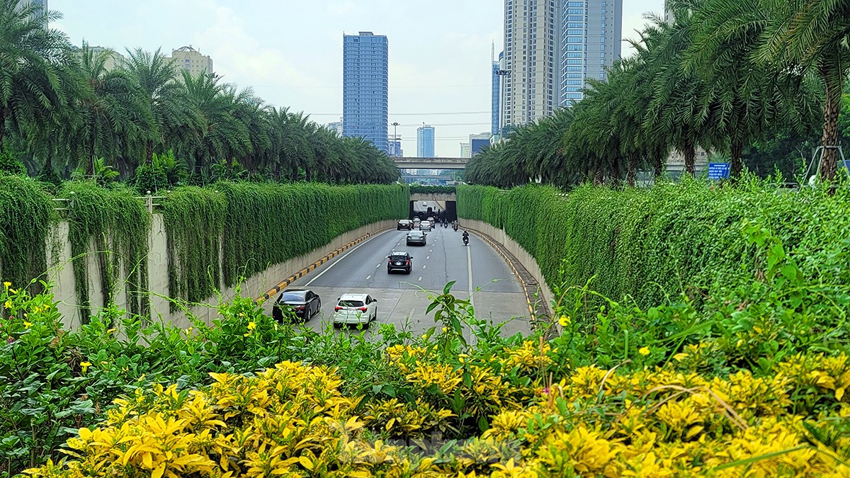 Mãn nhãn với bức tường của hầm chui được phủ kín cây xanh ở Hà Nội những ngày oi bức - Ảnh 1.