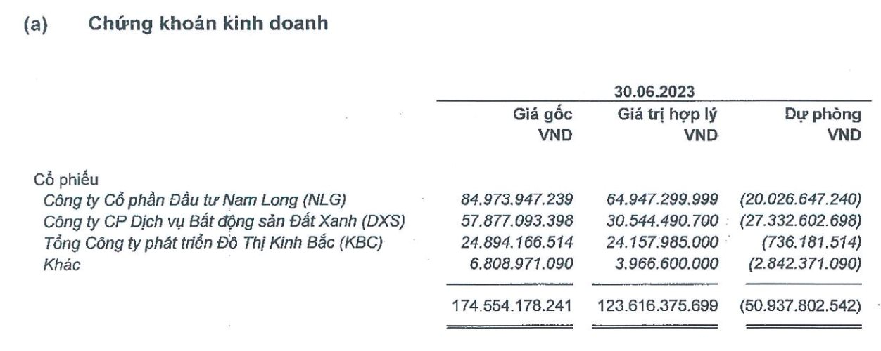 6 tháng &quot;buồn&quot; của Vĩnh Hoàn: Lợi nhuận giảm một nửa, đầu tư cổ phiếu NLG, DXS, KBC lỗ 51 tỷ đồng - Ảnh 2.
