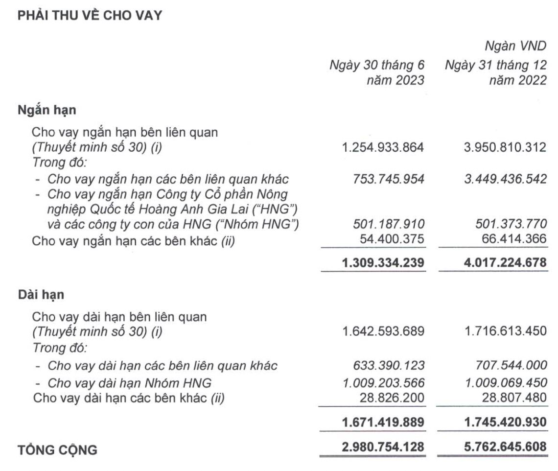 Dù mảng heo  hồi phục trong quý 2/2023, Hoàng Anh Gia Lãi thoát lỗ là nhờ lợi nhuận khác - Ảnh 3.