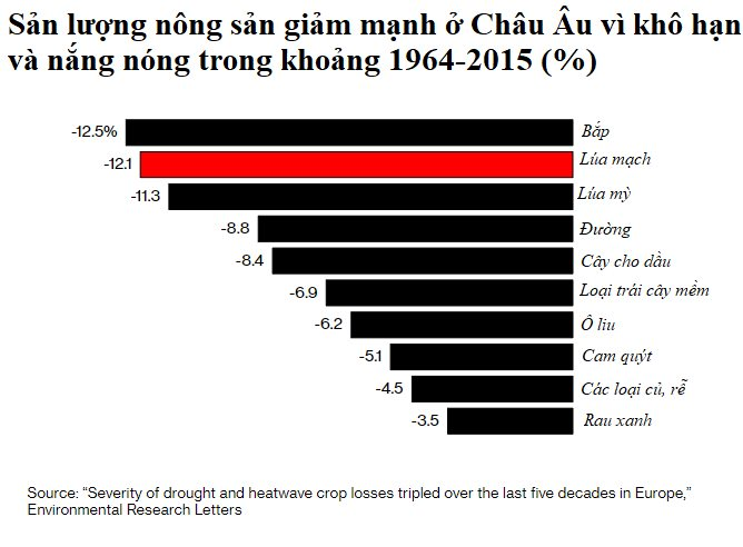 Cơn bĩ cực của ngành bia: Thiếu nguyên liệu, giá ngày càng đắt, chẳng ai còn muốn uống - Ảnh 4.