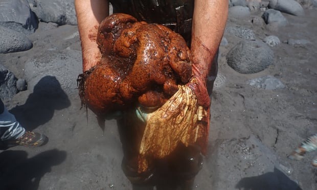Cá voi chết dạt vào bờ biển, các nhà nghiên cứu mổ bụng phát hiện &quot;hòn đá&quot; hóa ra là giá trị ngàn vàng - Ảnh 2.