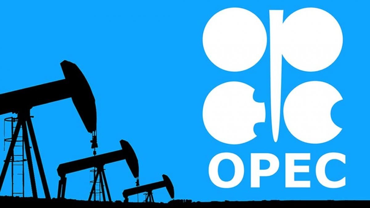 Tương lai bất định của OPEC - Ảnh 1.