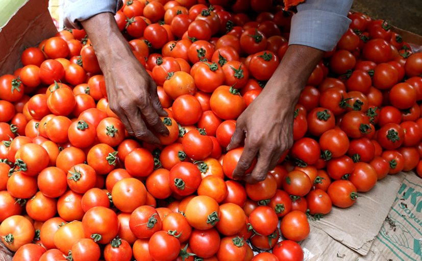 Một loại quả “nhà trồng được” của Việt Nam gặp bão giá tại Ấn Độ: giá tăng hơn 445%, đắt đỏ hơn cả xăng - Ảnh 1.