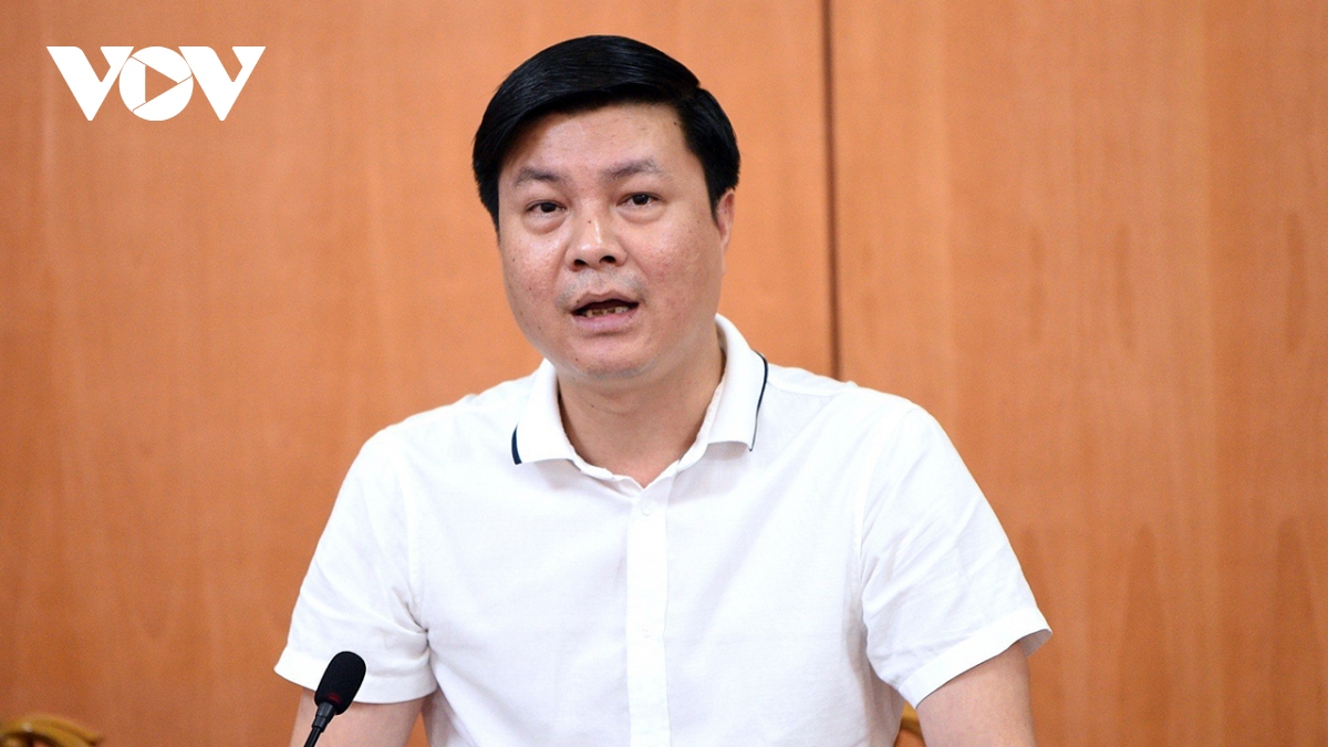 Nghiên cứu đường ray trên không vận chuyển hàng hóa XNK qua cửa khẩu - Ảnh 1.